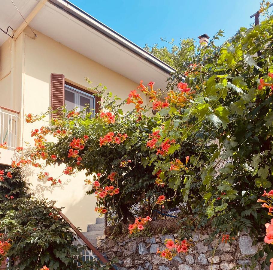 Ortansia Apartment Dimitsana Luaran gambar