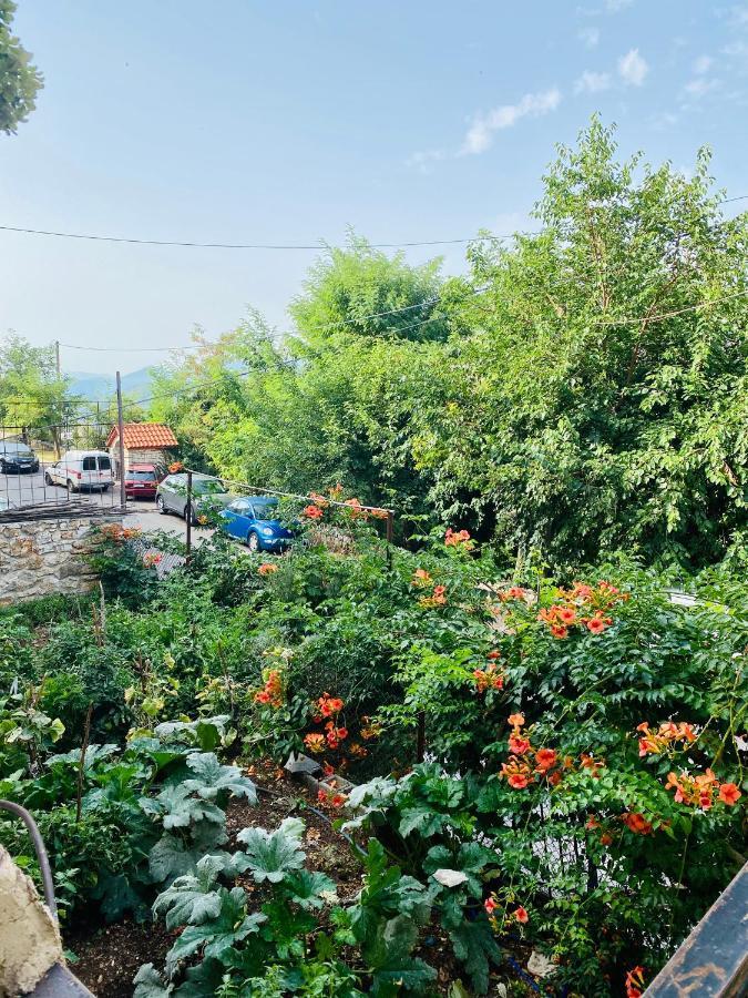 Ortansia Apartment Dimitsana Luaran gambar
