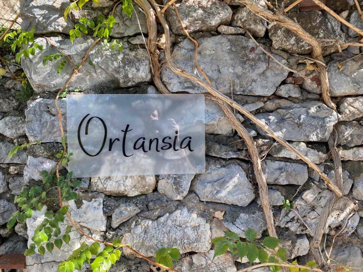 Ortansia Apartment Dimitsana Luaran gambar