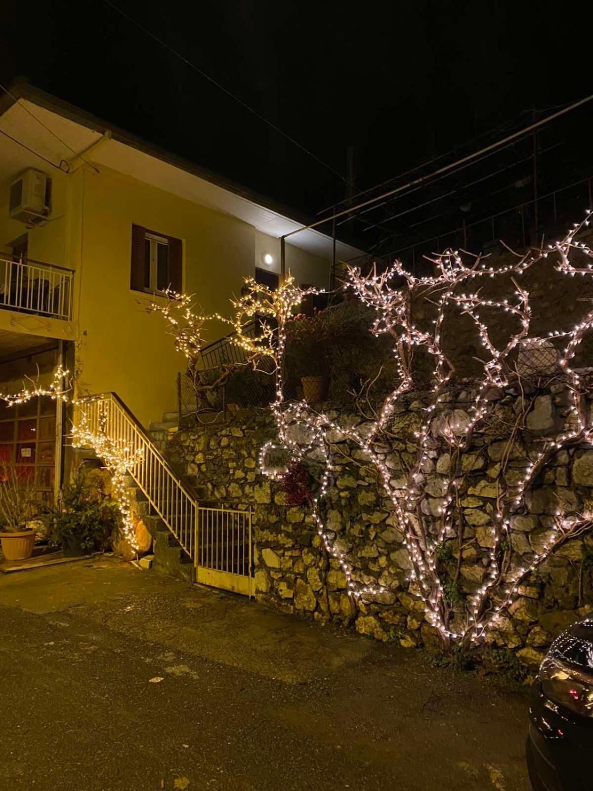 Ortansia Apartment Dimitsana Luaran gambar